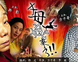 无遮挡激情视频国产在线观看