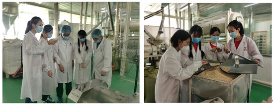 燕麥之香傳四方——青年紅色筑夢之旅中的技術交流與產業賦能